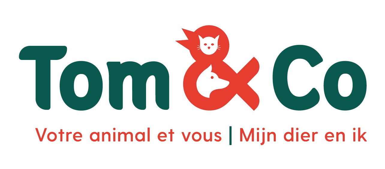 Tom & Co Logo